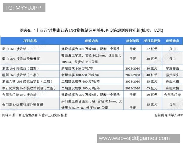 深度分析LNG行业运营策略与市场动态的专业解读